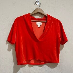 Vintage Souls Velvet Cropped Top